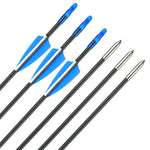Fiberglass Arrows, 31 Inch